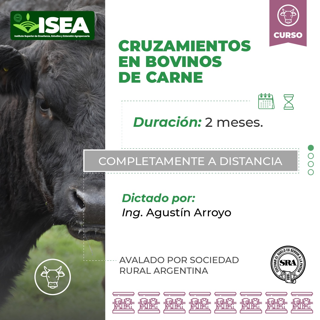 Cruzamientos en Bovinos de Carne
