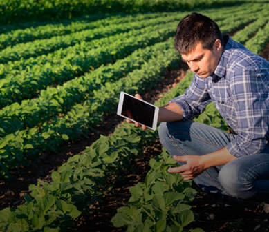 Economía de la Producción Agropecuaria