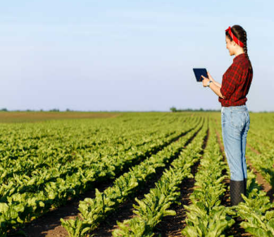 Administración de la Empresa Agropecuaria