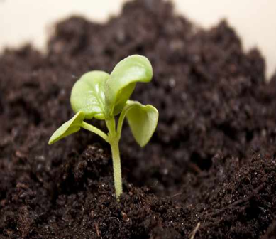 Biología Aplicada al Agro