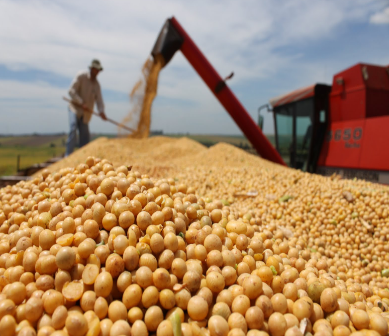 Economía y Mercados Agropecuarios
