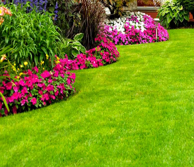 Parques y Jardines Parques y Jardines