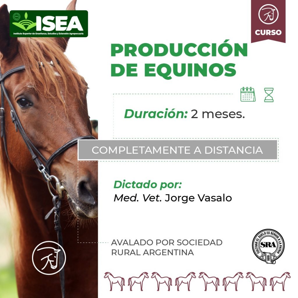 Producción Equina