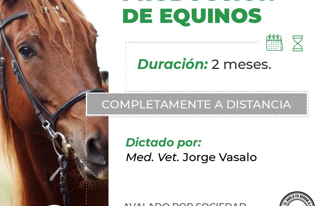 Producción Equina