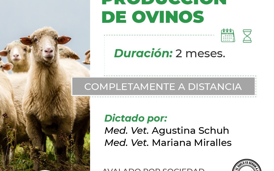 Producción de Ovinos