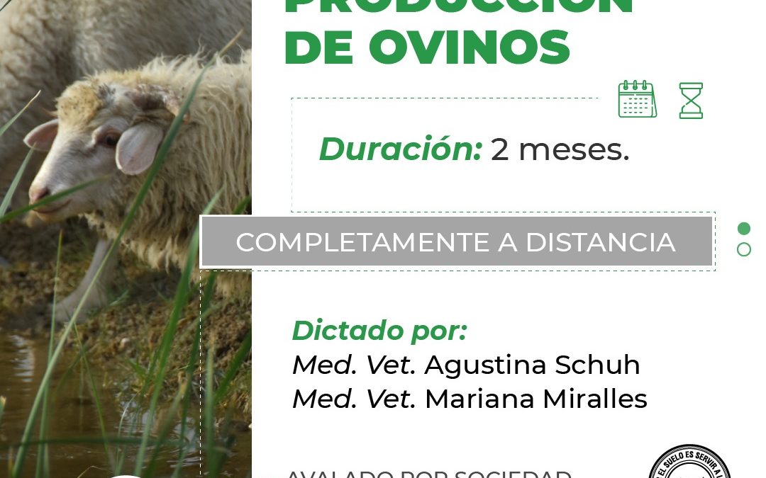 Producción de Ovinos