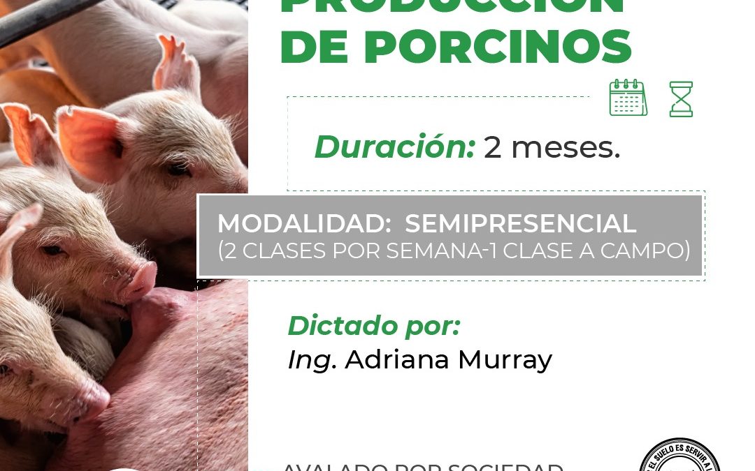 Producción de Porcinos