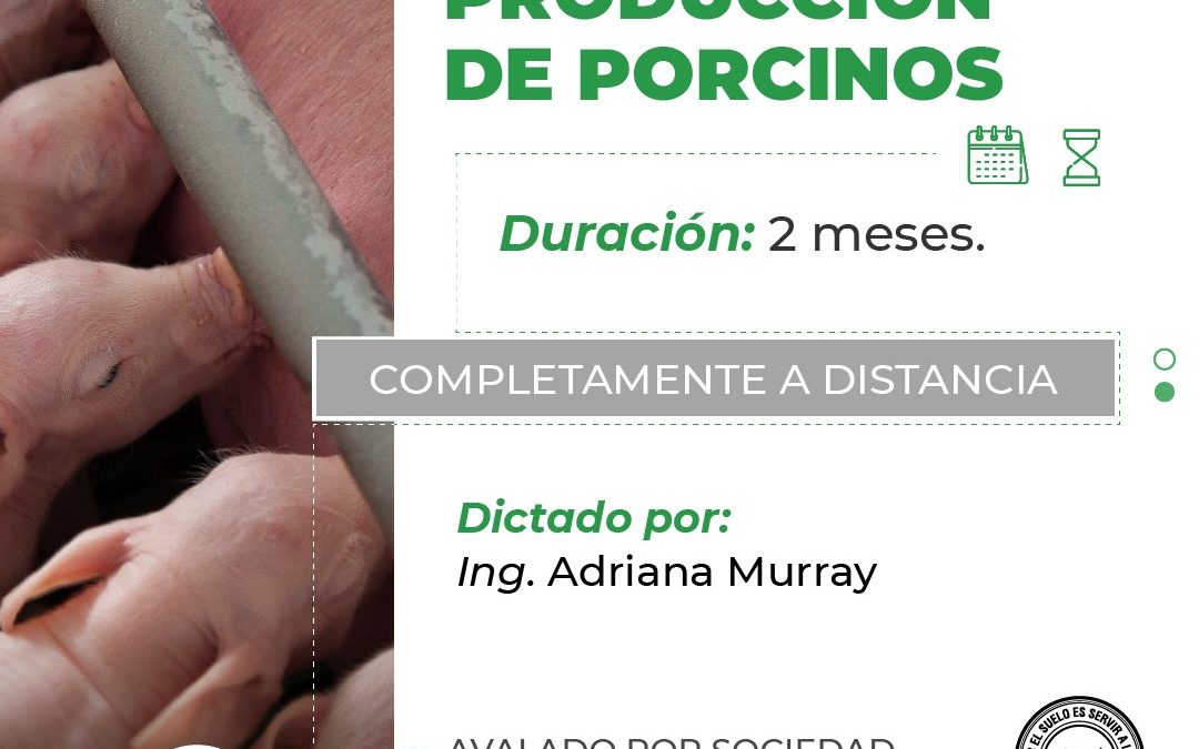 Producción de Porcinos