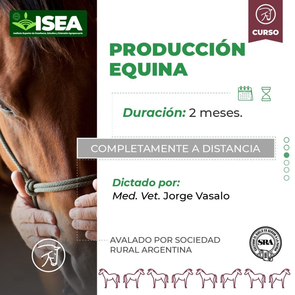 Producción Equina