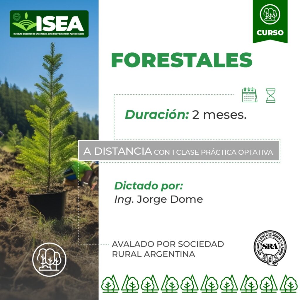 Forestales Forestales