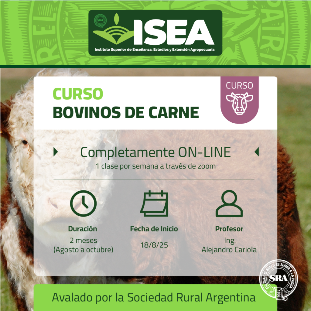 Bovinos de Carne