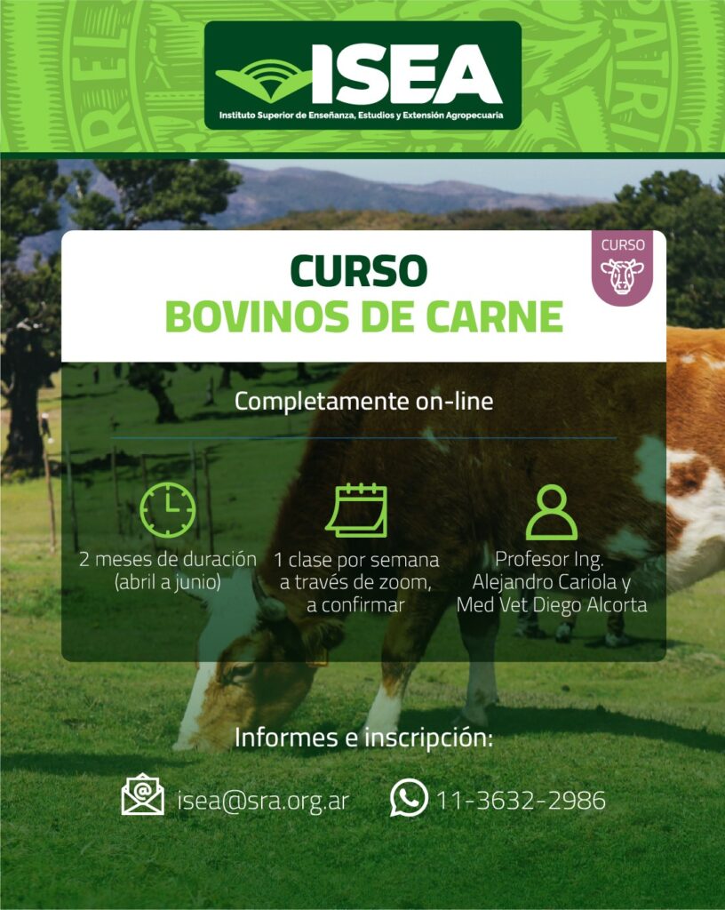 Bovinos de Carne Bovinos de Carne