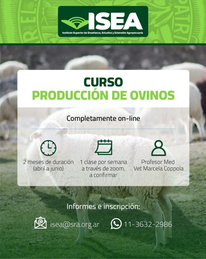 Producción de Ovinos